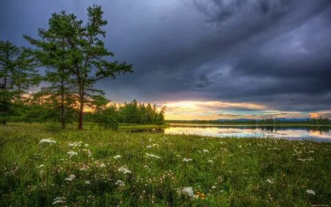 Луга озера звуки природы