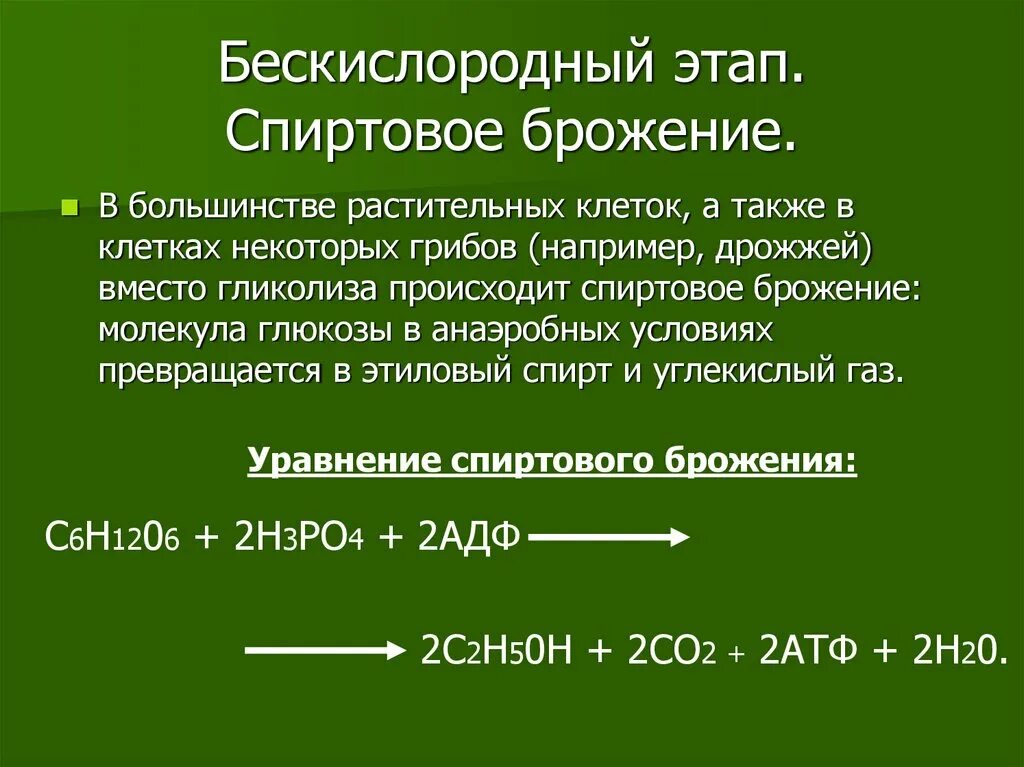 процессы кислородного этапа энергетического обмена. какие продукты образуются при аэробном дыхании. формула аэробного дыхания. какие продукты образуются при аэробном дыхании. суммарная реакция энергетического обмена.