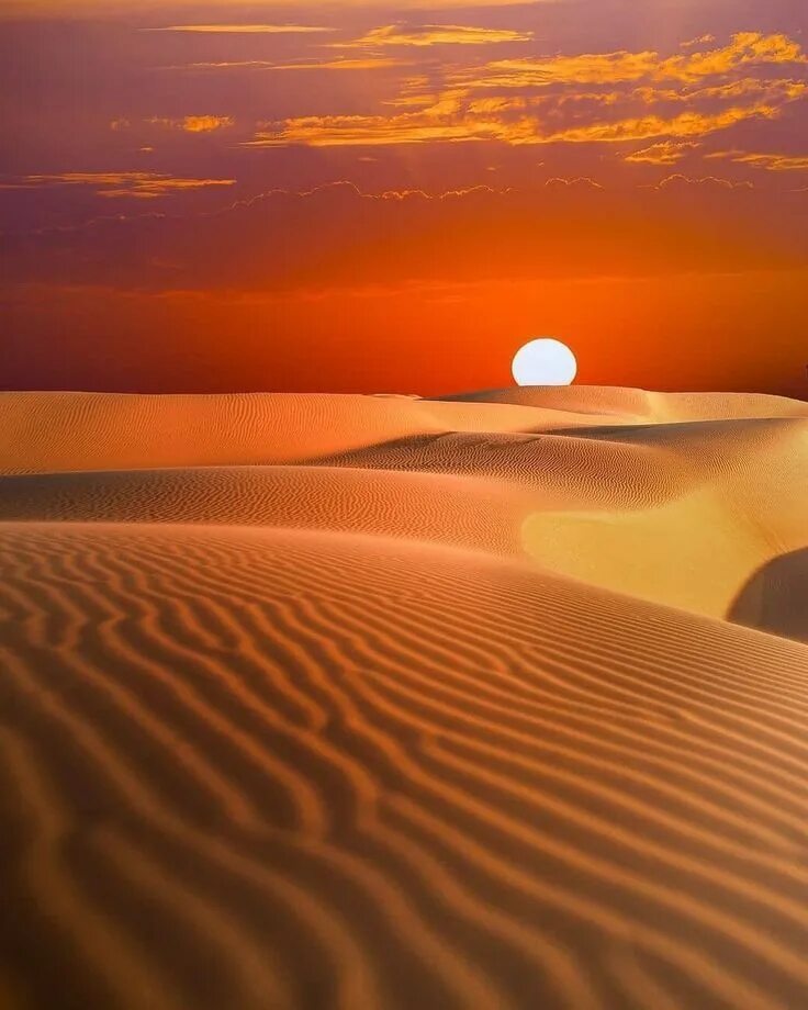 Пустыня. Рассвет в пустыне. Пейзаж пустыни. Красивая пустыня.