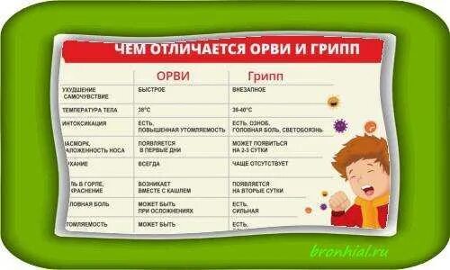 Как отличить грипп от орви у ребенка. Орви и грипп отличия. отличие гриппа от орви у детей. грипп орви орз. орви и грипп разница.