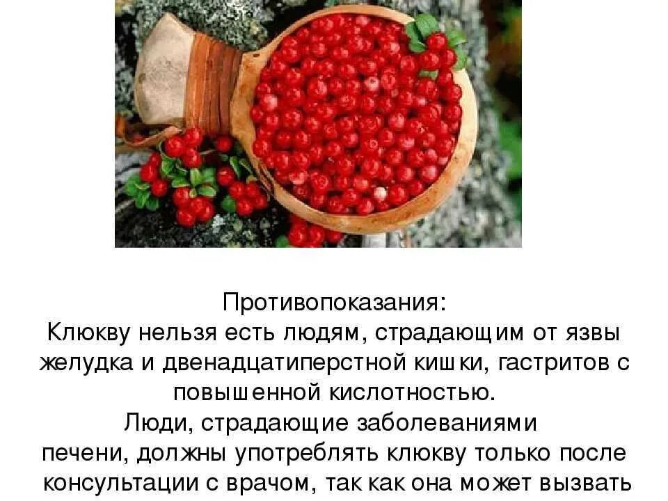 Чем полезна клюква. Целебные качества клюквы. Клюква противопоказана. Чем полезна клюква для организма.