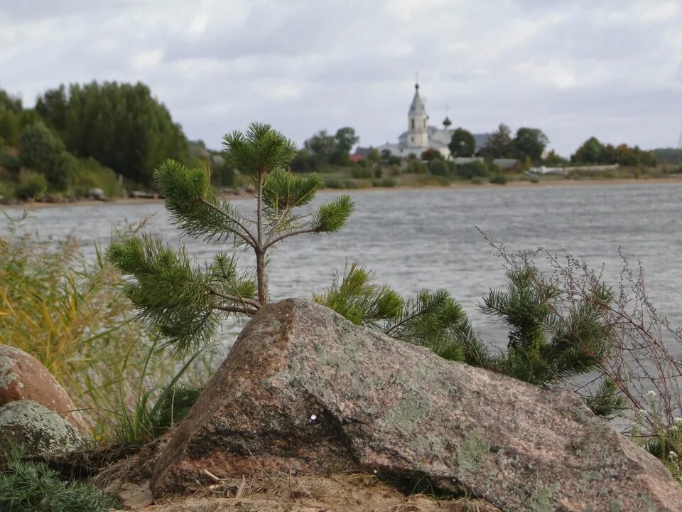 Остров-2 псковская область. Остров псковская область крепость. Муниципальное образование остров, псковская область. Река великая город остров. Псковское озеро талабские острова.