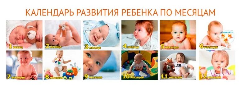 Как видит ребенок 4. Развитие ребёнка по месяцам. Календарь развития грудничка. Развитие ребёнка по месяцам до года. Календарь развития ребёнка от рождения и до года.