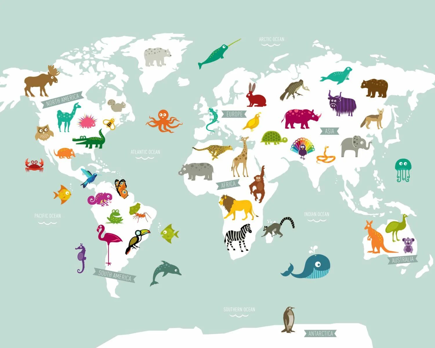 Животные по континентам. Животные по континентам для детей. Континенты с животными.