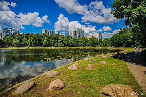 Дмитровское шоссе сады