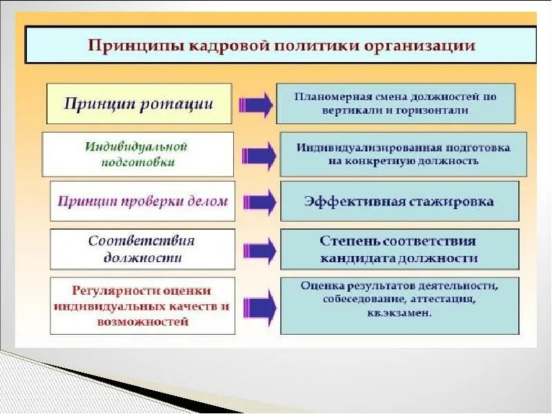 Что является политикой организации. Принципы кадровой политики. Принципы формирования кадровой политики. Принципы формирования кадровой политики организации. Принципы формирования государственной кадровой политики.