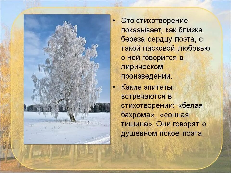 Стихотворение есенина 2 класс. Анализ стихотворения береза Есенина 5 класс. Анализ стихотворения Есенина Есенина береза. Белая береза береза стихи Есенина. Берёза Есенин стих.