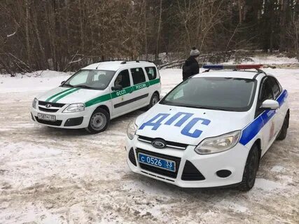 Пристав гусей