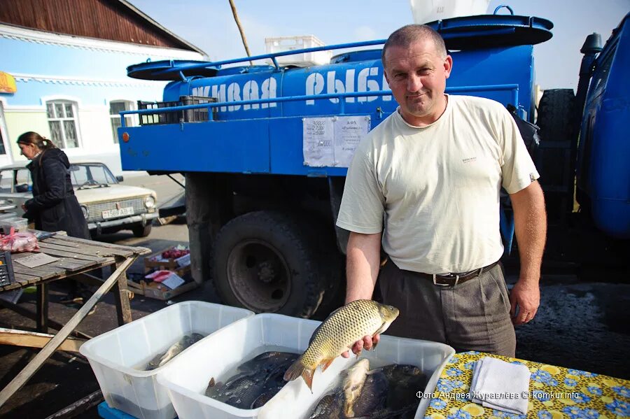 Продажа живой рыбы. Торговля живой рыбой. Торговля рыбой с машины. Живая рыба. Машина Живая рыба.