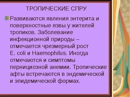 Нетропическая спру это
