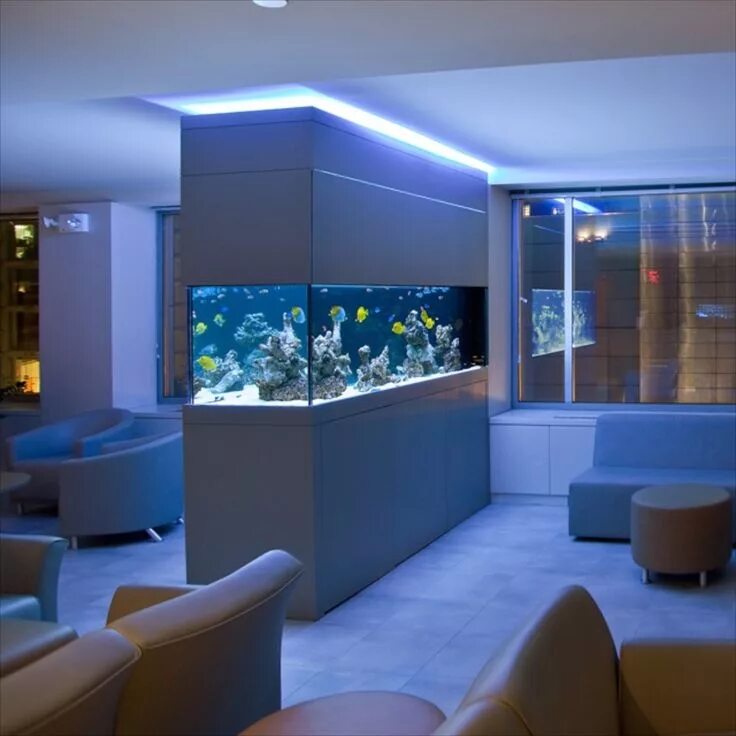 Pin by Barry L on Aquarium and Fish Aquarium design, Wall aquarium, Aquarium