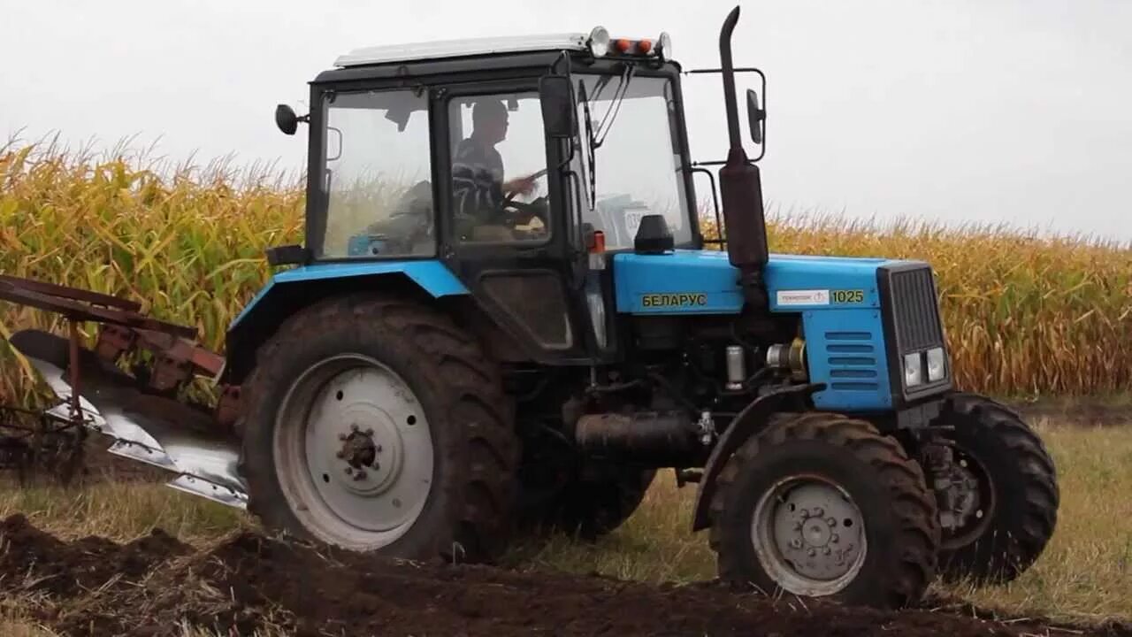 Плуг беларус трактор. Мтз 1025 пахота. мтз 1025 с плугом. мтз 1025.2 с плугом. мтз 82.2 с плугом.