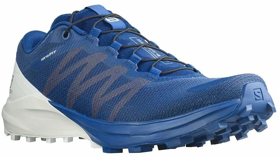 Кроссовки sense. Salomon sense feel 2. Salomon sense ride 5. Кроссовки мужские salomon sense ride 4. Salomon sense ride 3 gtx invisible fit.