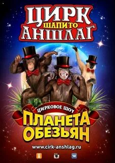 Шоу обезьян