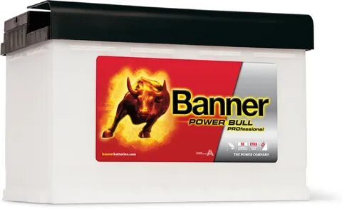 Bull power