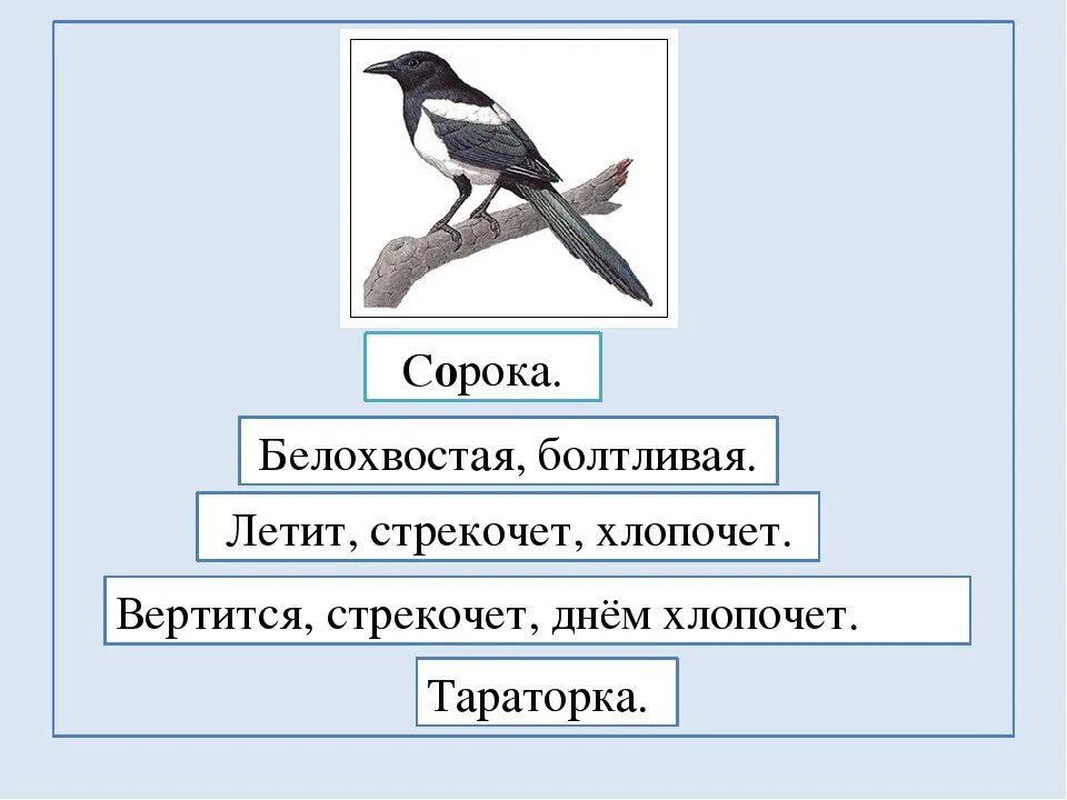 Синквейн сорока. Синквейн выскочка. Синквейн по произведению выскочка пришвин. Синквэин к рассказувыскочка. Основная мысль текста каждый знает воробья ворону