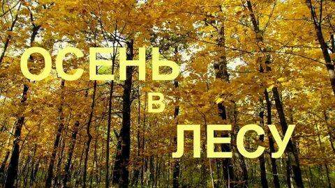 Сценарий осень в лесу