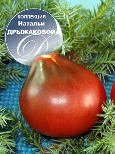 Томат густо малиновый. Трюфель малиновый мязина. Сорт томатов трюфель густо-малиновый. Томат трюфель густо-малиновый. Трюфель густо малиновый.