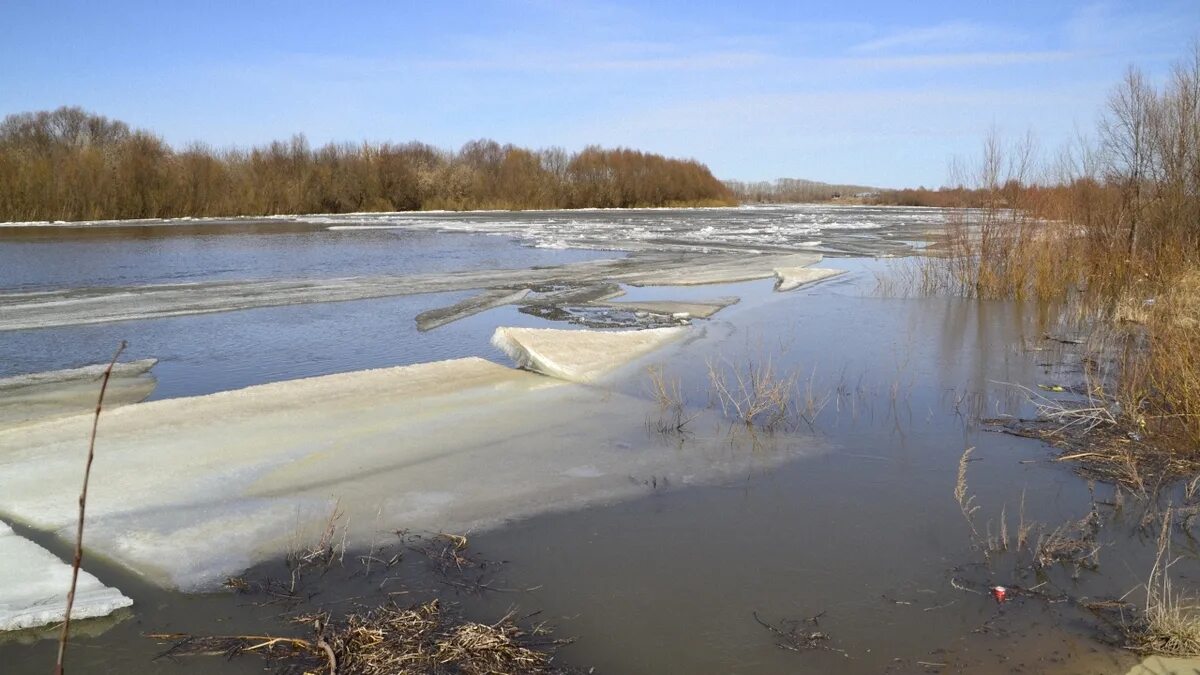 Уровень воды в реке ока горбатов. Река Ока Шилово. Река Тырница Шиловского района. Половодье на Оке 2023 Озеры. Половодье Ока.