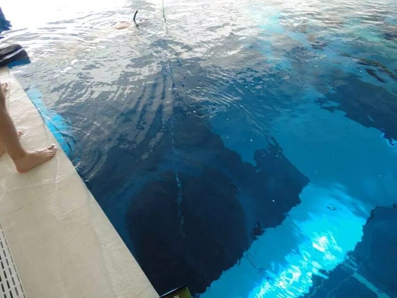 Жуткий бассейн. Y-40 бассейн Италия. Глубокий бассейн. Самый страшный бассейн в мире. Неглубокий бассейн.