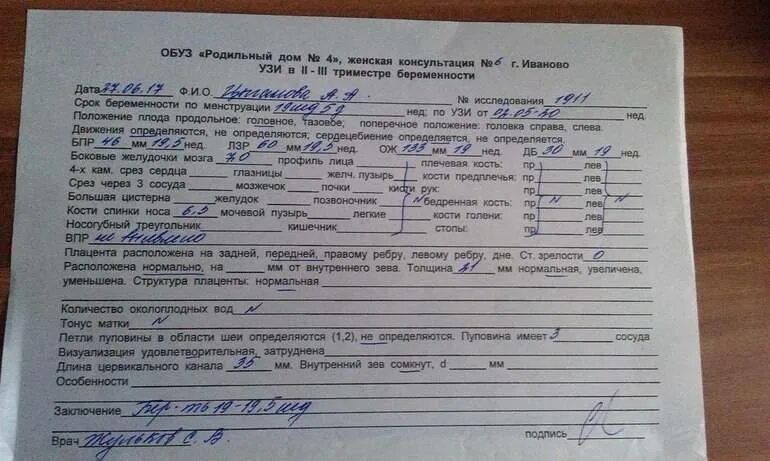 Роддом 1 скрининг. Направление на скрининг. направление на скрининг 1 триместра. выписка из роддома документ. выписка на ребенка из роддома документ.