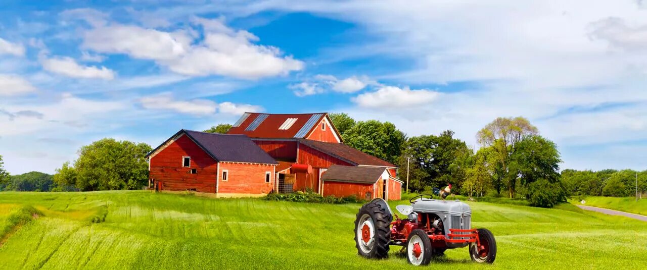 Сельскохозяйственный потребительский кооператив. Кфх 2024. Кфх 2024. Агропромышленный комплекс земледелие. Кфх кабаев большеигнатовский район.