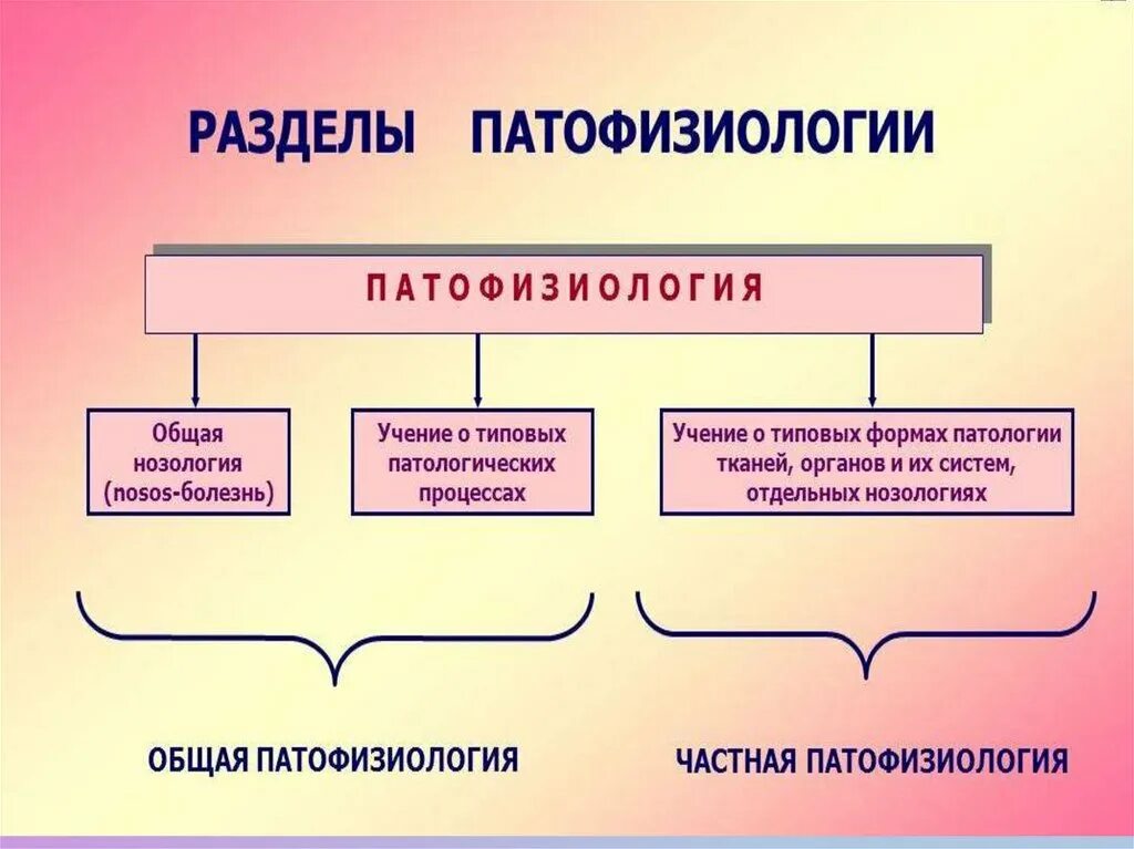 Принципы патофизиологии. Предмет и разделы патофизиологии. Патофизиология объект и предмет. Объект изучения патофизиологии.