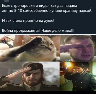 Бить крапивой