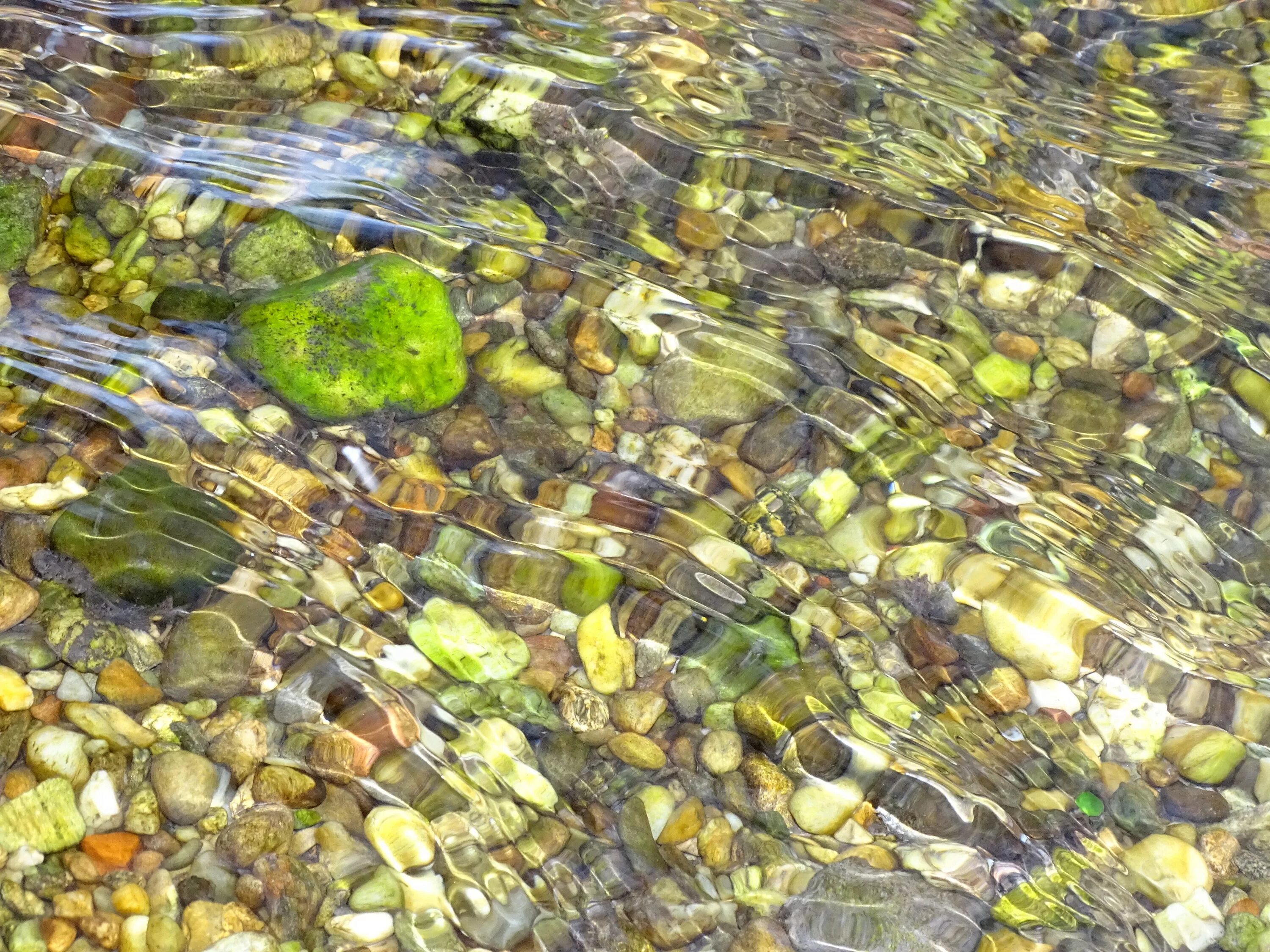 Речное дно. Камни в воде. Камни в прозрачной воде. Прозрачная вода в ручье. К чему снится поток воды