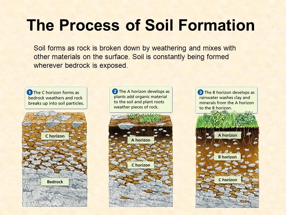 Process of forming that is. Soil formation. soil water. soil formation processes. soil particle.
