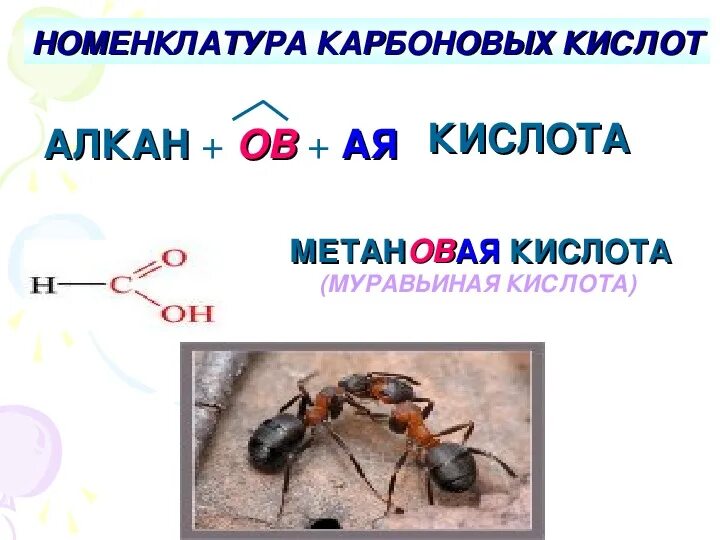 Различить уксусную и муравьиную кислоты. Метановая муравьиная кислота. метановая муравьиная кислота формула. строение муравьиной кислоты. муравьиная кислота общая формула.