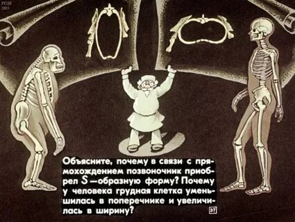 Поющая косточка