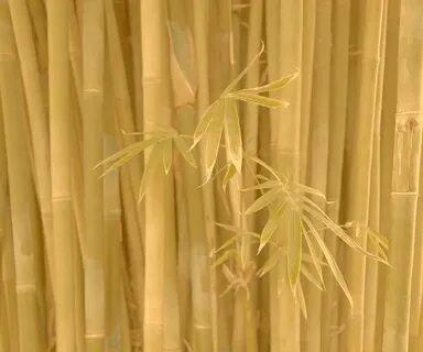 Бамбуковая соломка