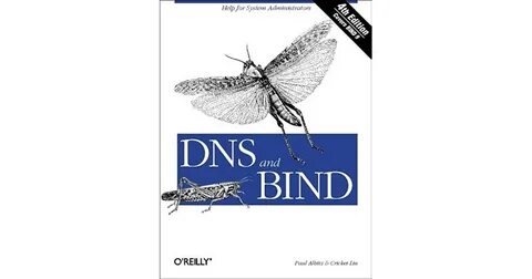 Dns binding