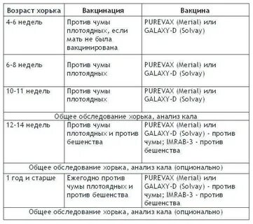 Какие прививки щенку