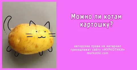 Можно котам картошку вареную