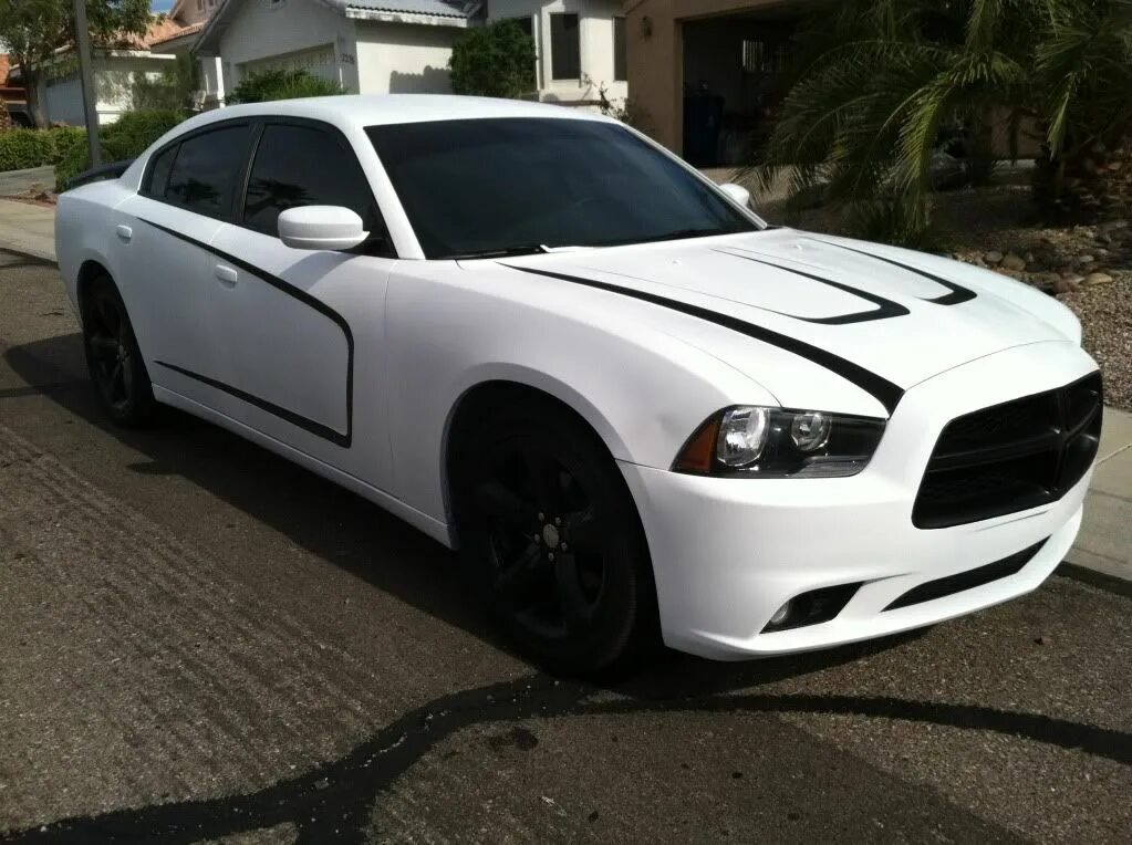 Белый цвет машины фото. Dodge Charger 2008 White. Додж Чарджер белый. Машина белого цвета. Белый матовый автомобиль.