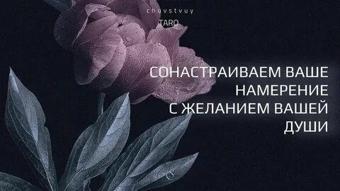 Твоих намерений