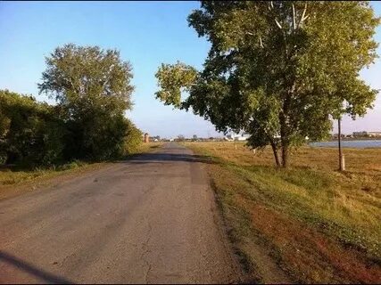 Дубынка казанский