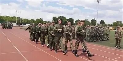 5 дневной