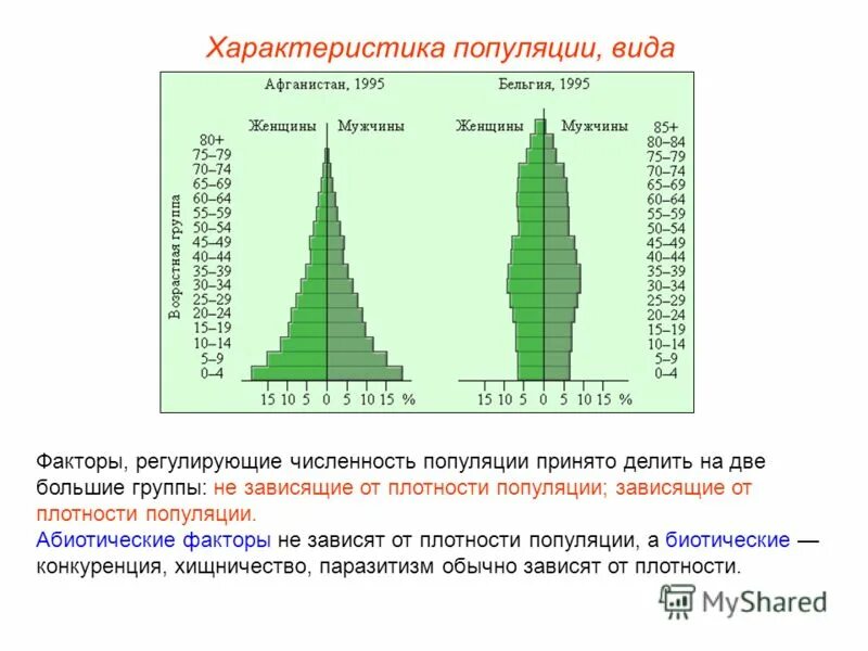 Численность плотность и структура популяций. Численность популяции. Структура популяций численность популяции. Численность и плотность популяции. Основные параметры популяции.