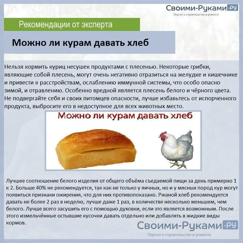 Какую крупу можно давать несушкам. Чем нельзя кормить кур несушек. чем можно кормить кур. чем можно кормить куриц. чем кормить кур несушек в домашних условиях.