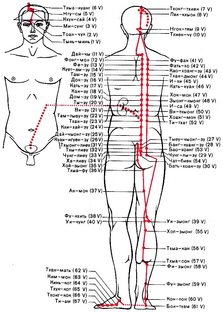 Названия точек человека. Меридианы китайская медицина человека схема. Энергетические меридианы человека китайская медицина. Меридианы мочевого пузыря точки меридианы. Система меридианов в китайской медицине.