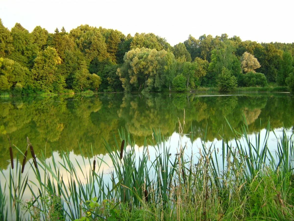 Железногорск красноярский край парк озеро. Озеро ульстим. Озеро песочное озеры рыбалка. Озера в озерске челябинской области. Рошаль город московская область озеро юбилейное.