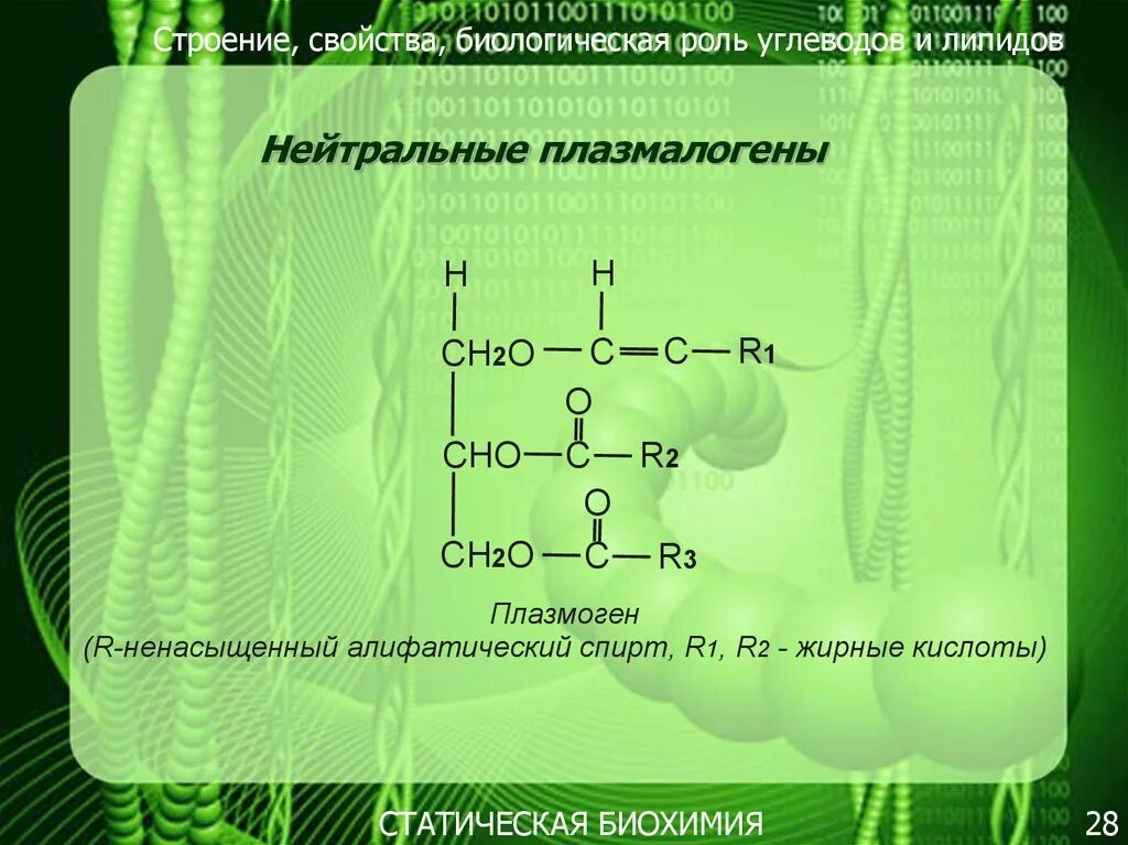 Углеводы липиды строение. Строение и биологическая роль липидов. Строение и биологическая роль фосфолипидов. Фосфолипиды строение биологическая роль. Строение и свойства углеводов и липидов.