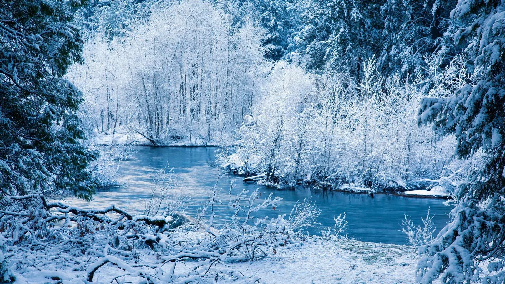 Фонограмма зимы