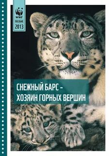 Барс книги