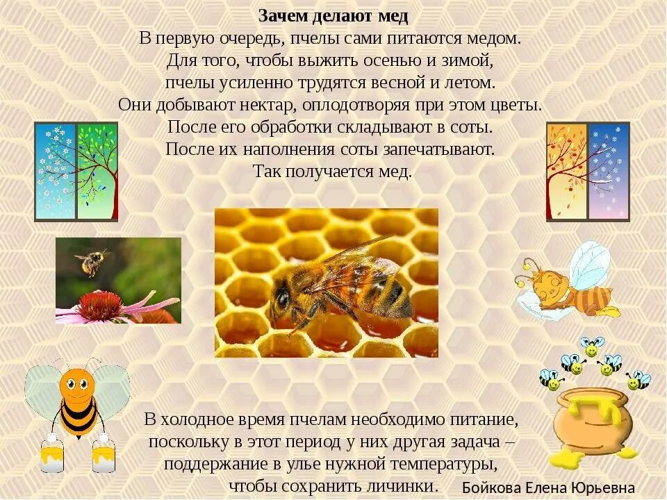 Сколько делать мед. Как пчелы делают мед. Для чего пчелы делают мед. Как пчёлы делают мёд для детей. Как пчёлы до бывают мёд.