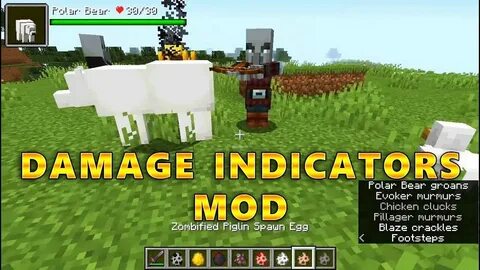 Damage 1.16 5