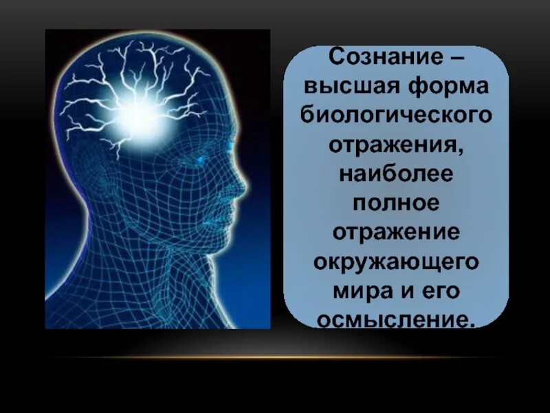 Сознание как форма отражения. Высшая форма биологического отражения. сознание окружающего мира.. высшая форма сознания есть. биологическая форма отражения это.